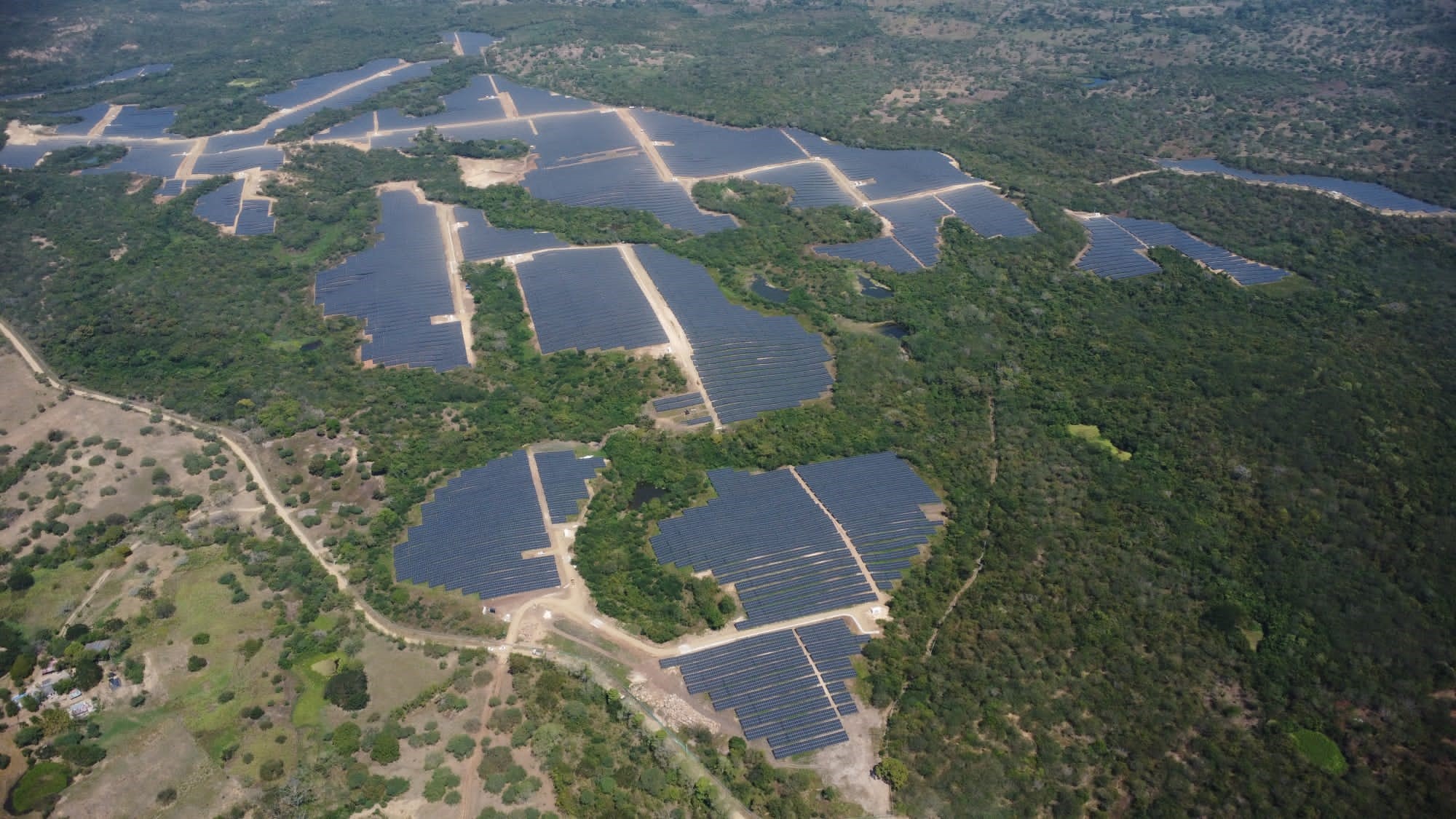 Parque Fotovoltaico Bosques Solares de Bolívar foto 2